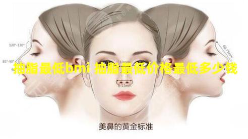 抽脂最低bmi 抽脂最低价格最低多少钱